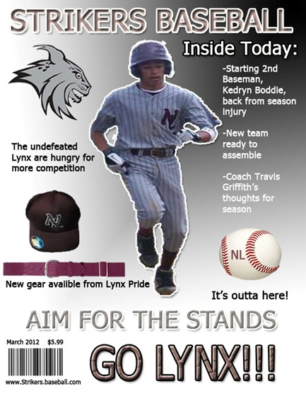 Desktop Publishing: Strikers Baseball